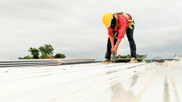 Best Solar Panel Roofing Installation  in El Reno, OK