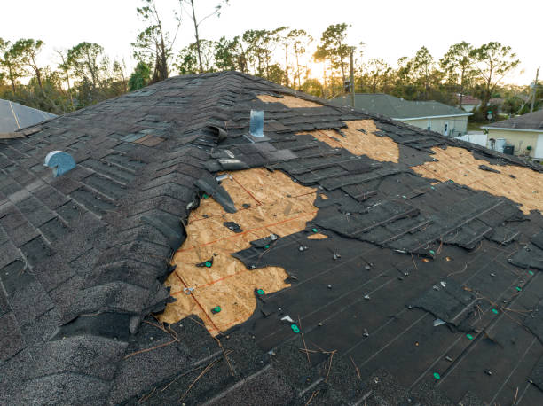 Professional Roofing Service in El Reno, OK